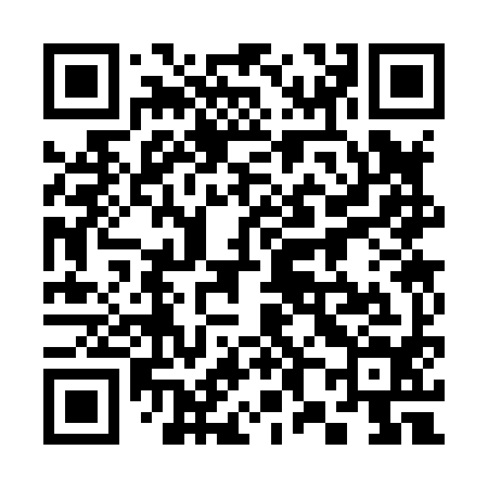 QR code for 383894