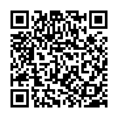QR code for 383938