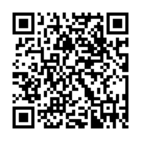 QR code for 383972