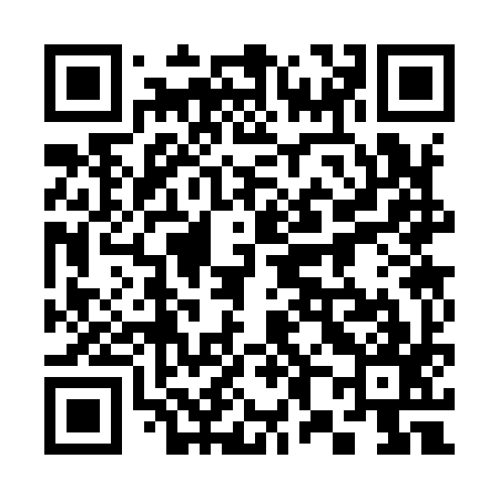 QR code for 383997
