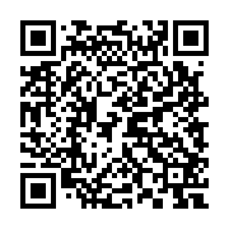 QR code for 384102
