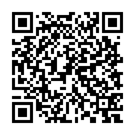 QR code for 384171