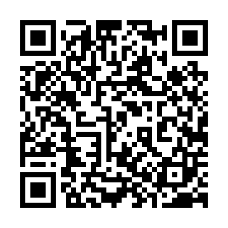 QR code for 384203