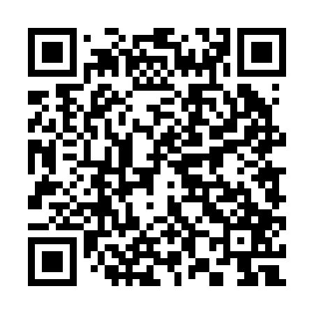 QR code for 384207