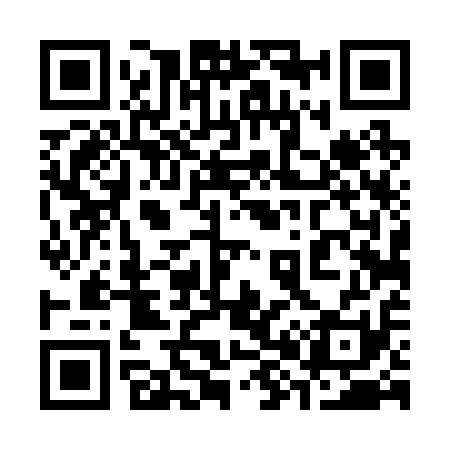QR code for 384211