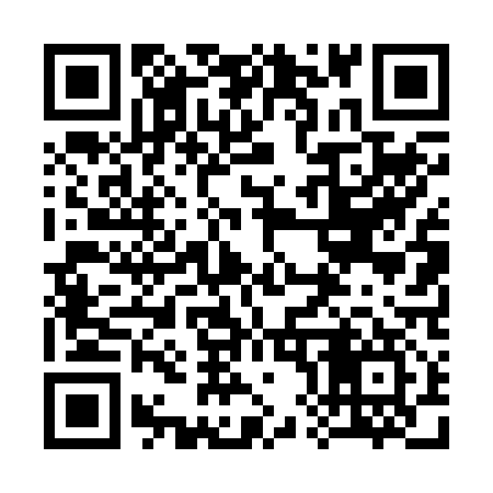 QR code for 384217