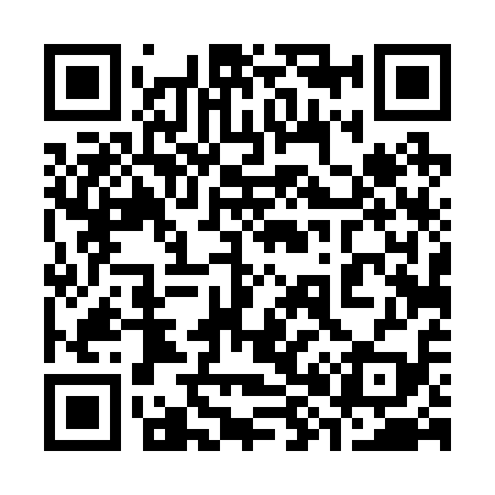QR code for 384219