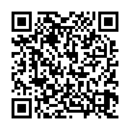 QR code for 384229