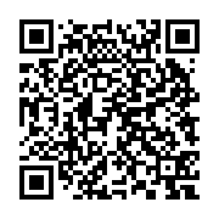 QR code for 384231