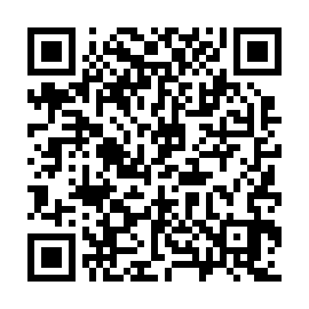 QR code for 384233