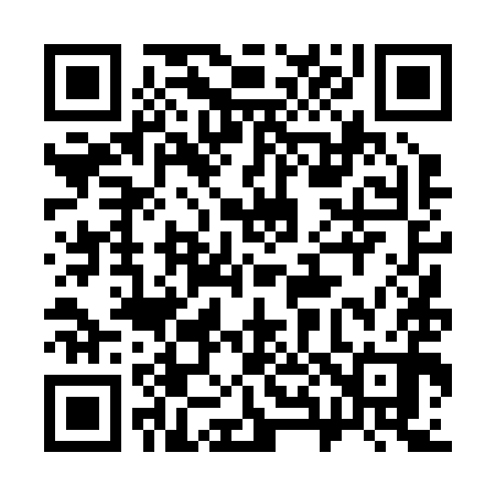 QR code for 384290