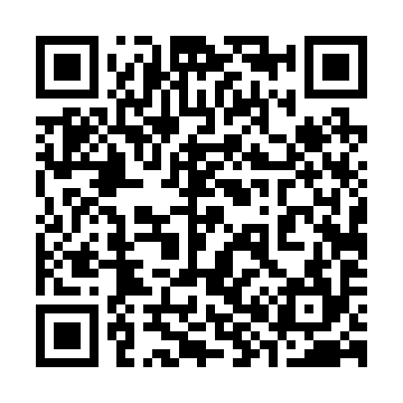 QR code for 384294