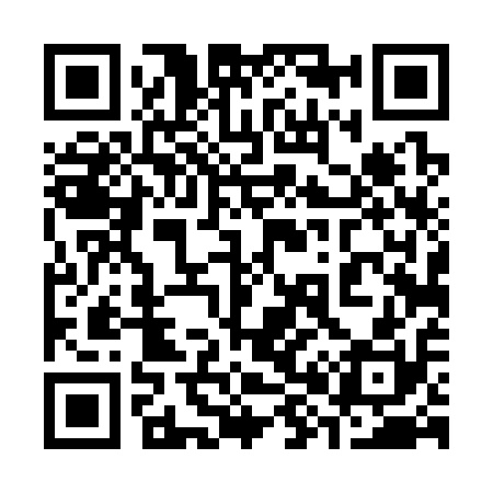 QR code for 384310