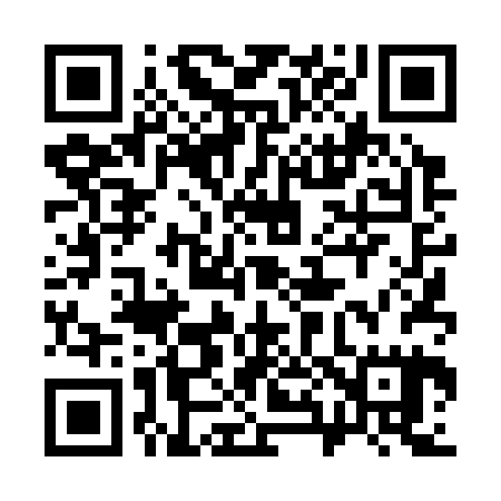 QR code for 384325