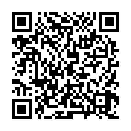 QR code for 384368