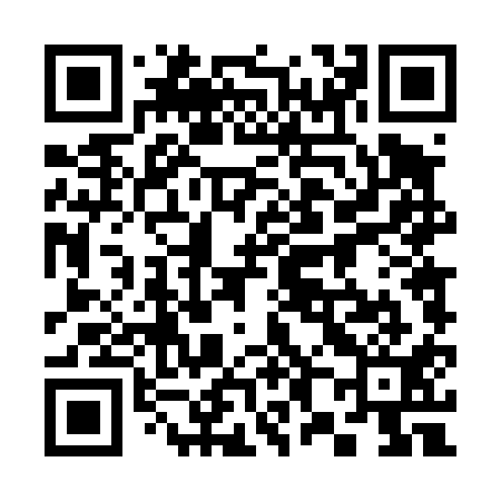 QR code for 384411