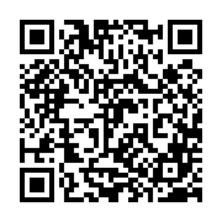 QR code for 384546