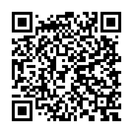 QR code for 384550