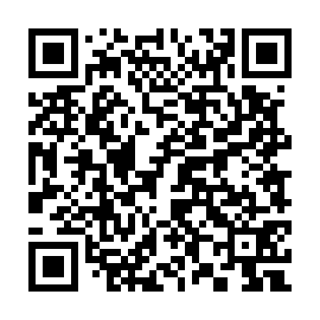 QR code for 384571