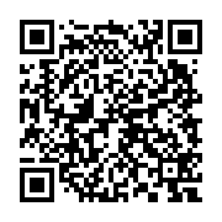 QR code for 384619