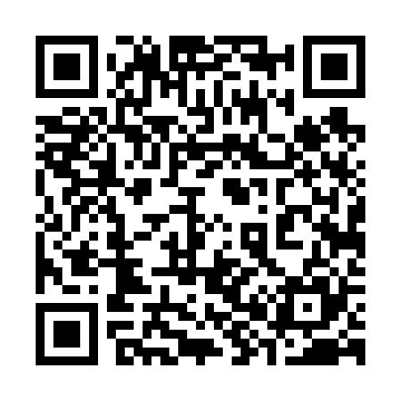 QR code for 384625