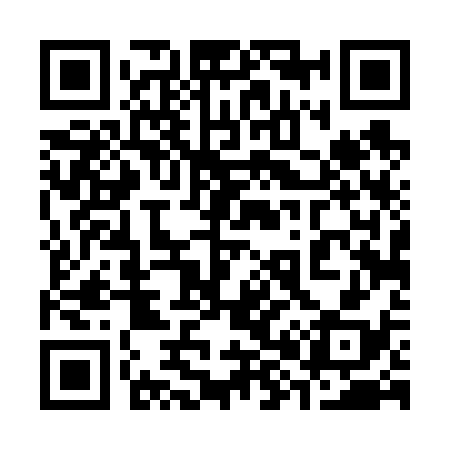 QR code for 384638