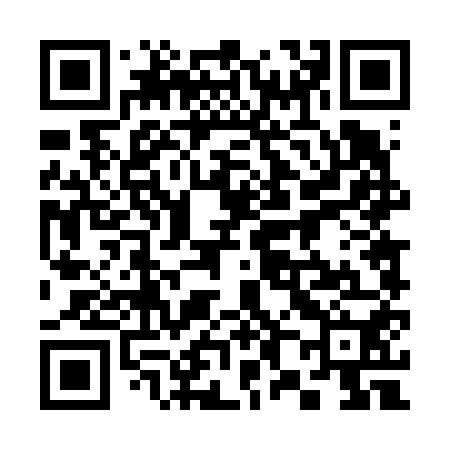 QR code for 384650