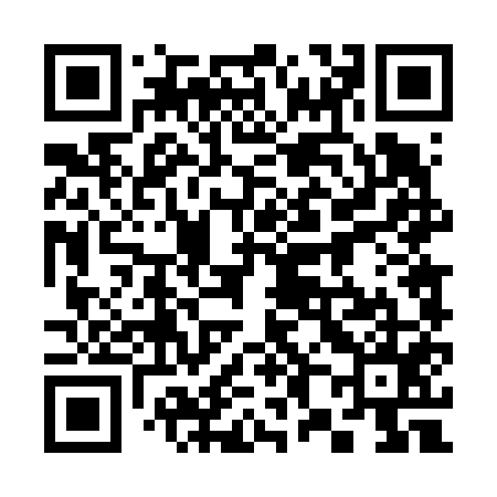 QR code for 384655