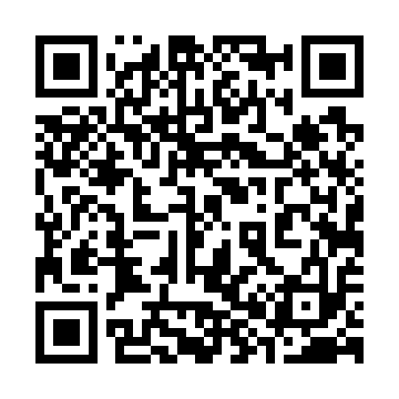 QR code for 384713