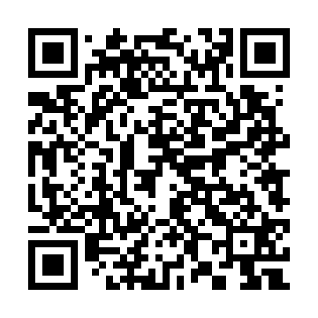 QR code for 384721