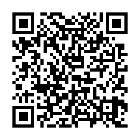 QR code for 384729