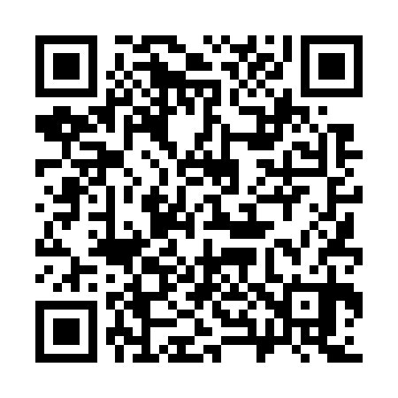 QR code for 384730