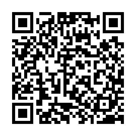 QR code for 384741