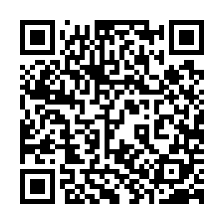 QR code for 384748