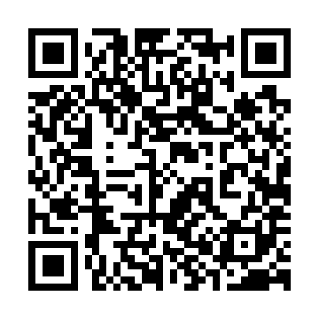 QR code for 384781