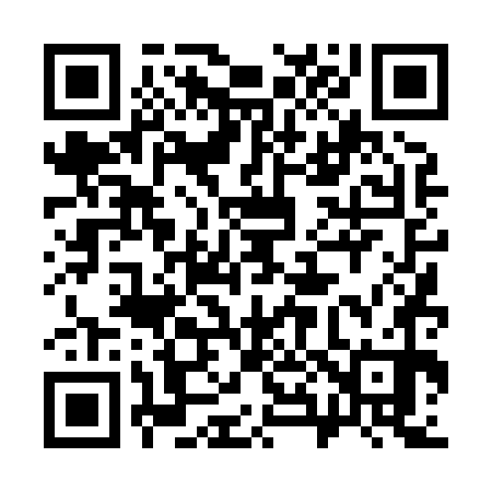 QR code for 384870