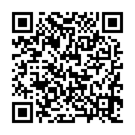 QR code for 384875