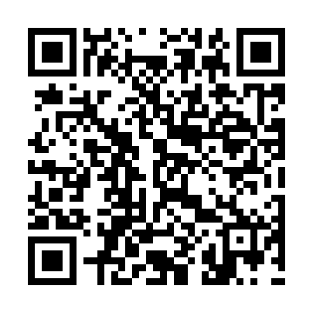 QR code for 384962