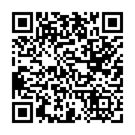 QR code for 384973