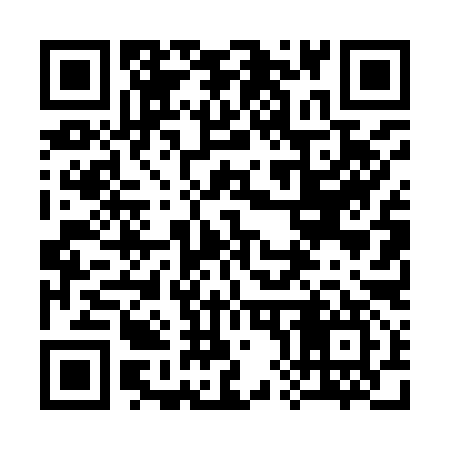 QR code for 384997