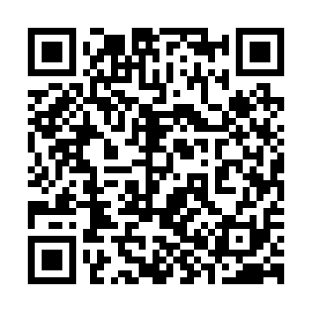 QR code for 385211