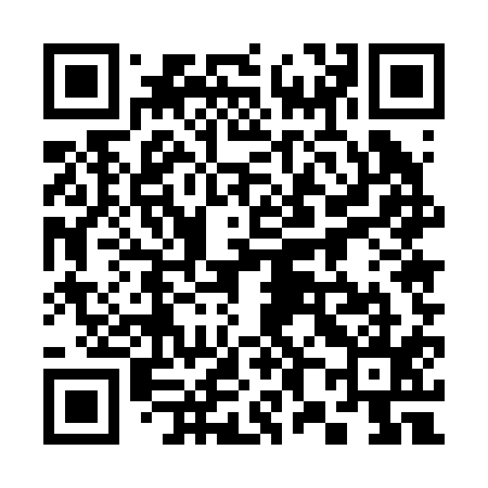 QR code for 385215