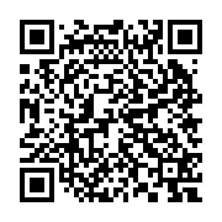 QR code for 385221