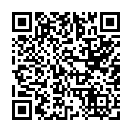 QR code for 385242