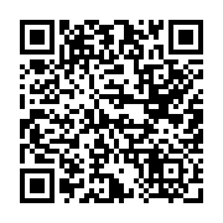 QR code for 385333