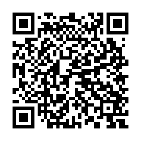 QR code for 385343