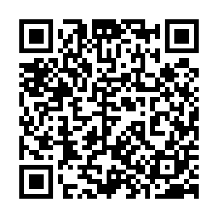 QR code for 385500
