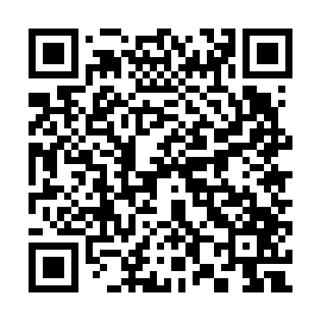 QR code for 385647