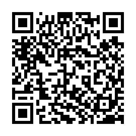 QR code for 385691