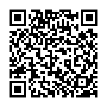 QR code for 385738